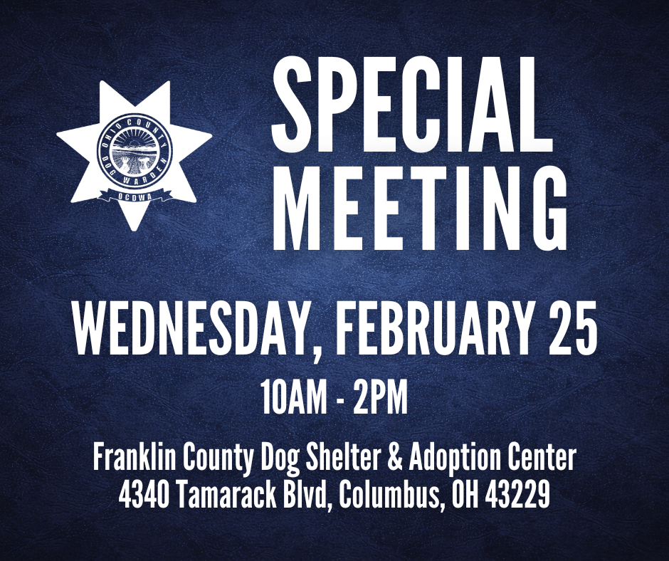 Wednesday, february 28